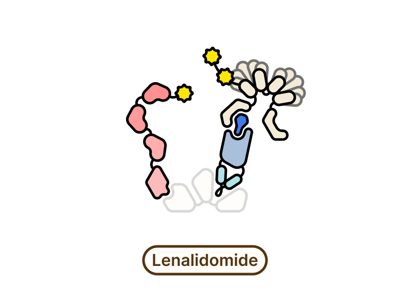 Lenalidomide
